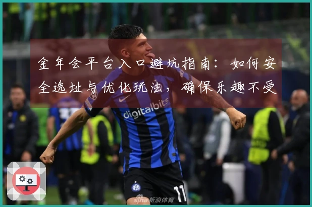 金年会平台入口避坑指南：如何安全选址与优化玩法，确保乐趣不受损