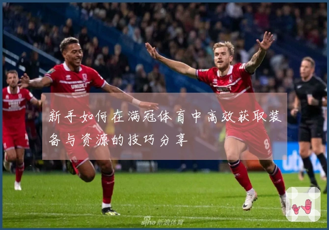 新手如何在满冠体育中高效获取装备与资源的技巧分享
